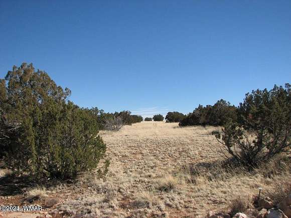 40 Acres of Land for Sale in Heber, Arizona