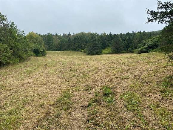 5 Acres of Residential Land with Home for Sale in Birdsall, New York