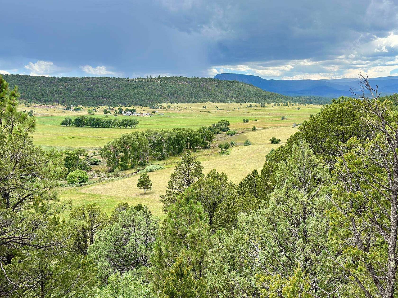 296 Acres of Recreational Land for Sale in Sapello, New Mexico