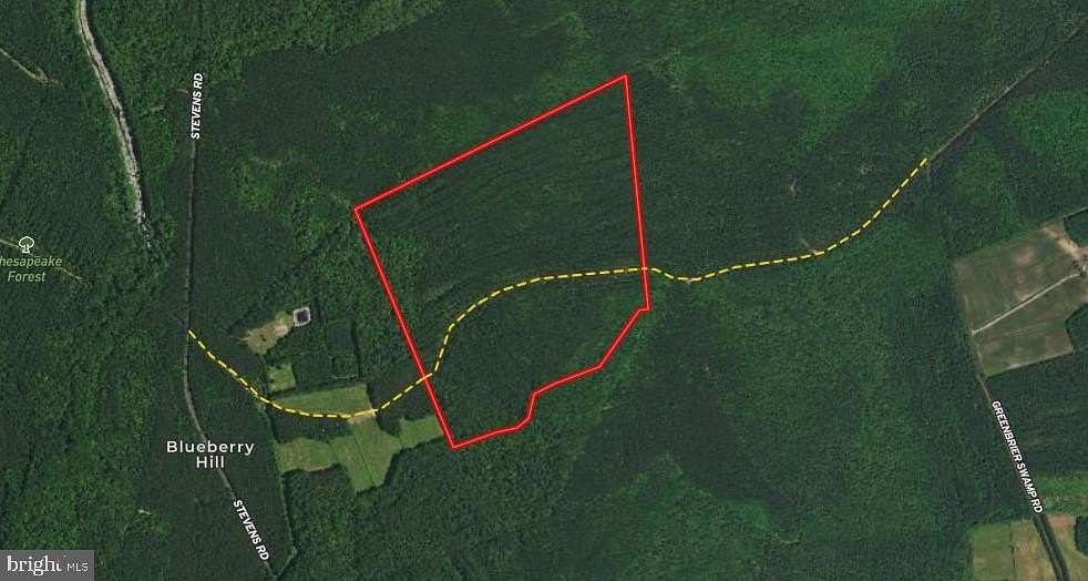 138.2 Acres of Recreational Land for Sale in Snow Hill, Maryland