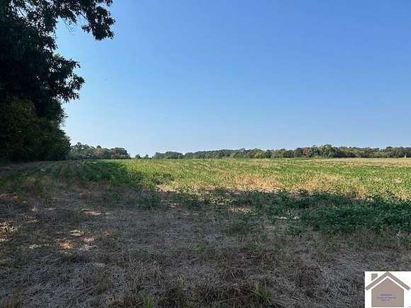 42 Acres of Recreational Land & Farm for Sale in Murray, Kentucky