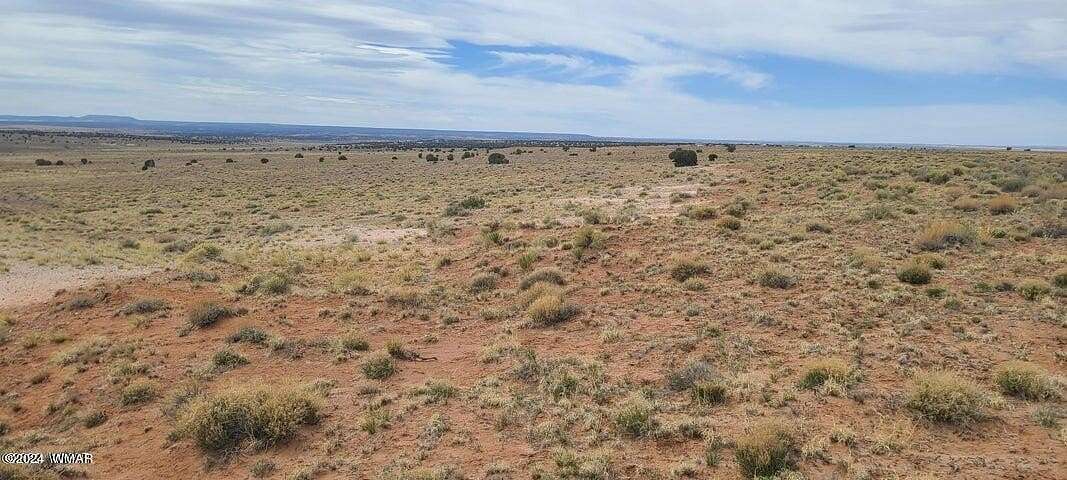 36.25 Acres of Land for Sale in Concho, Arizona