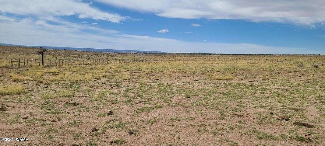 36.36 Acres of Land for Sale in Concho, Arizona