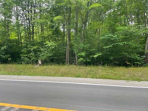 20 Acres of Land for Sale in Gladwin, Michigan