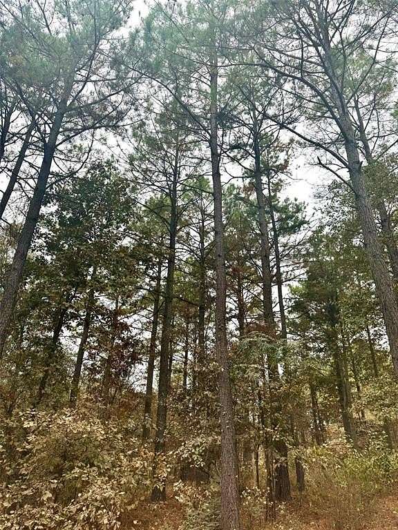 0.668 Acres of Land for Sale in Broken Bow, Oklahoma