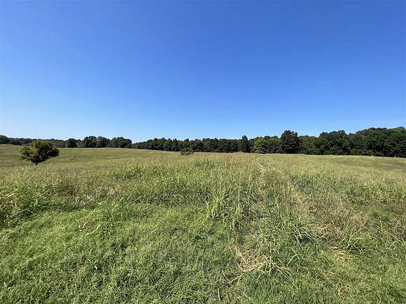 55.46 Acres of Agricultural Land for Sale in Scottsville, Kentucky