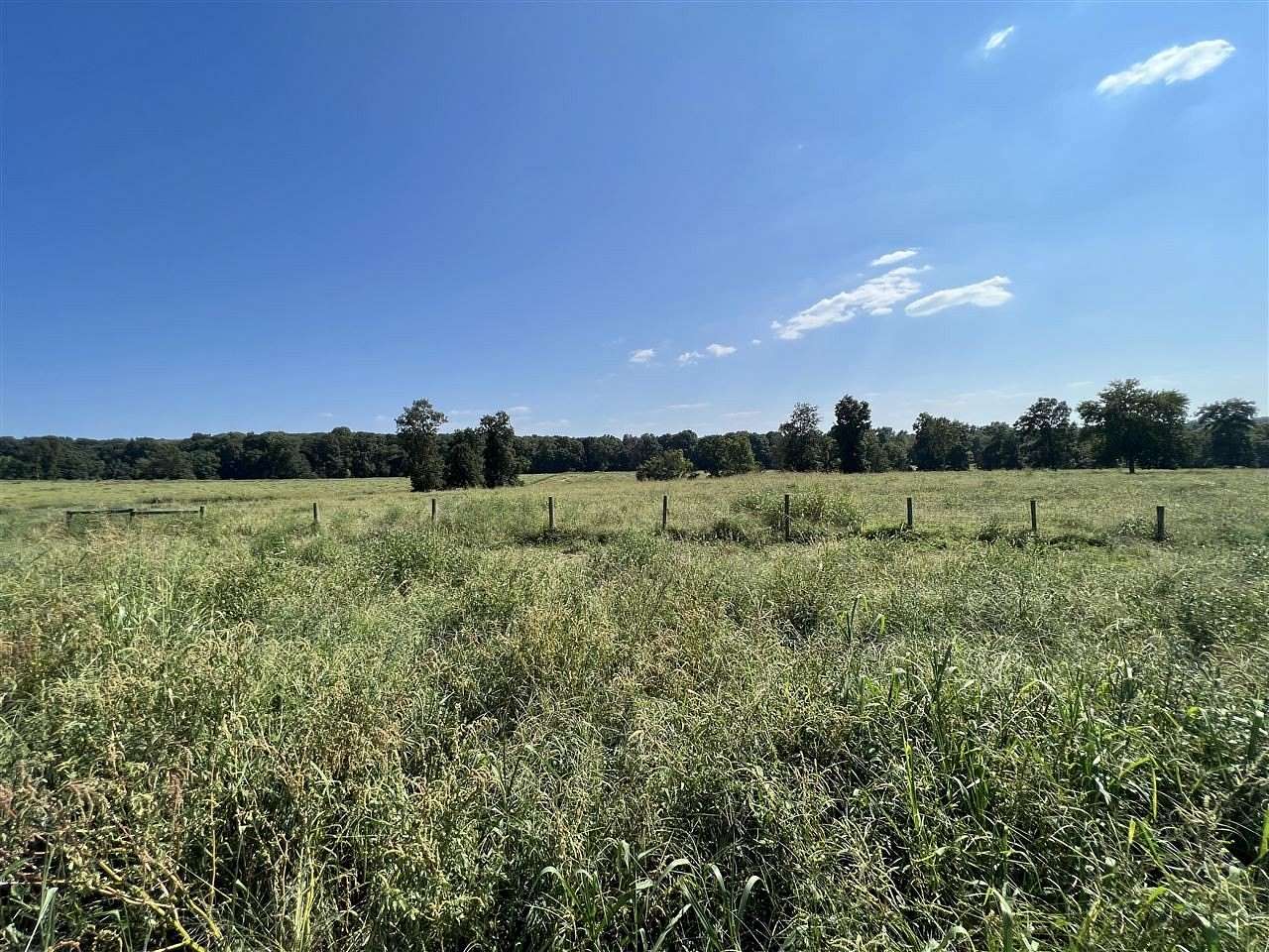 42.76 Acres of Agricultural Land for Sale in Scottsville, Kentucky