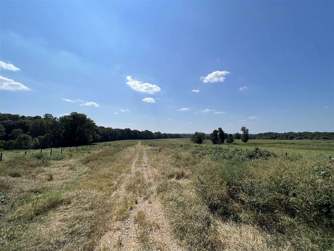 35.79 Acres of Agricultural Land for Sale in Scottsville, Kentucky