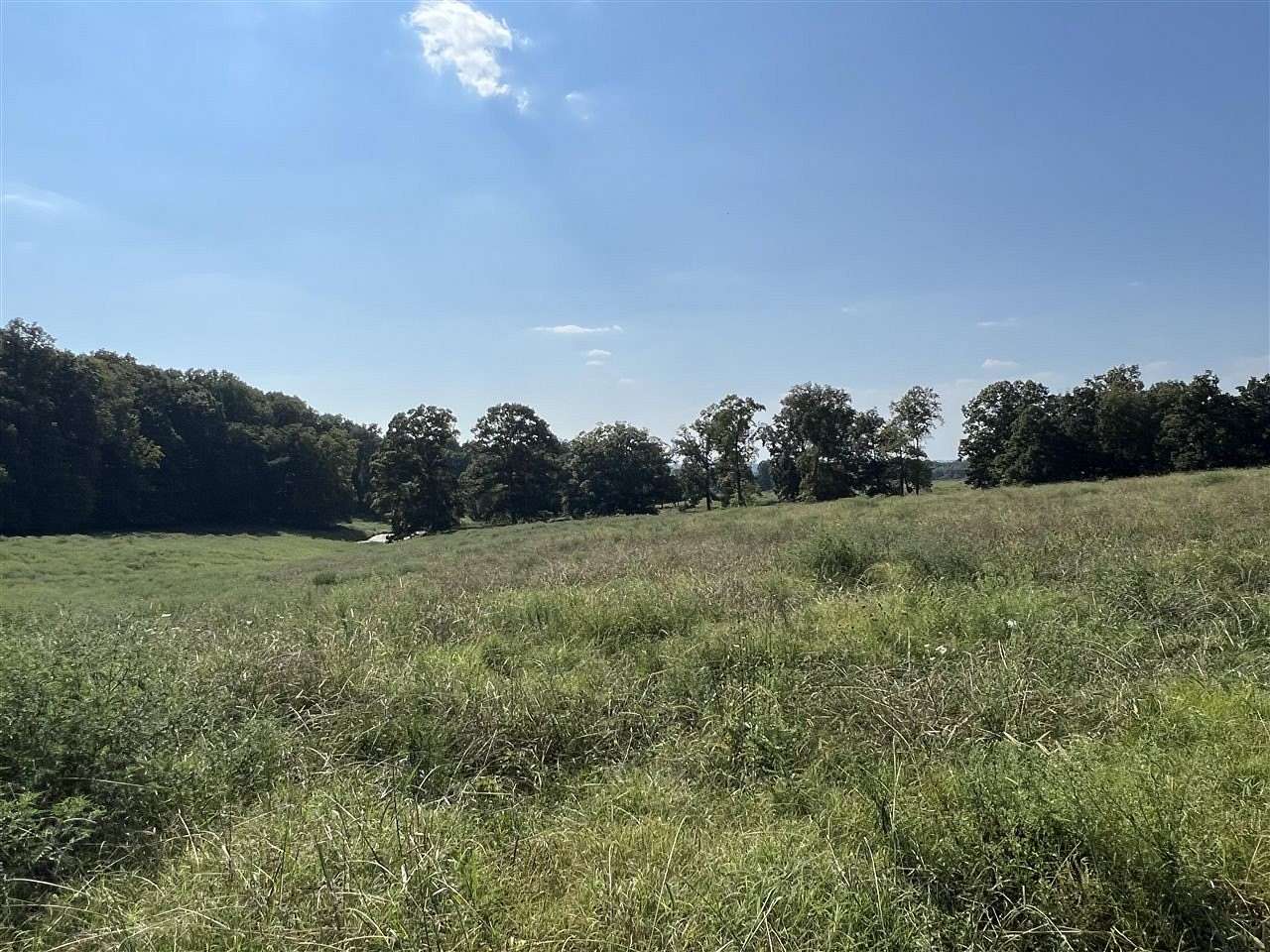 19.2 Acres of Agricultural Land for Sale in Scottsville, Kentucky