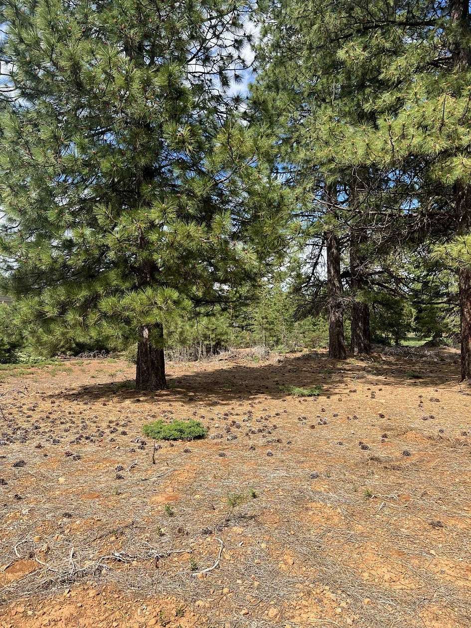 0.29 Acres of Residential Land for Sale in Lake Almanor Peninsula, California