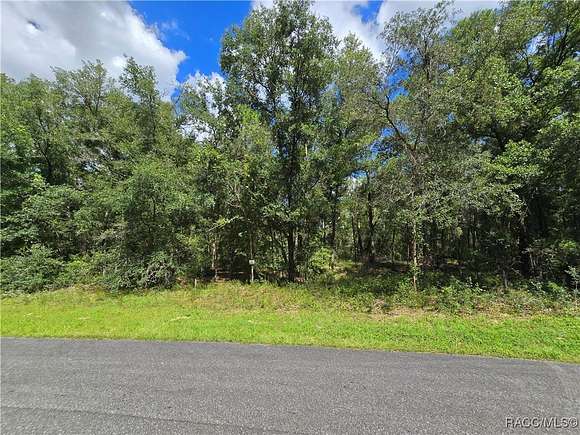 0.26 Acres of Residential Land for Sale in Dunnellon, Florida