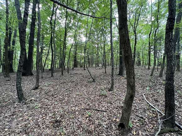 5.26 Acres of Land for Sale in Scottsville, Kentucky