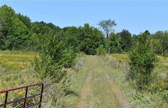 44.75 Acres of Recreational Land & Farm for Sale in Foreston, Minnesota