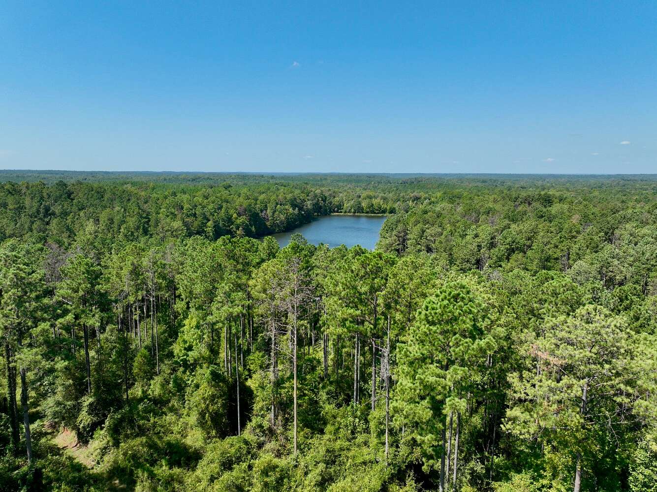 111 Acres of Recreational Land for Sale in Coffeeville, Alabama