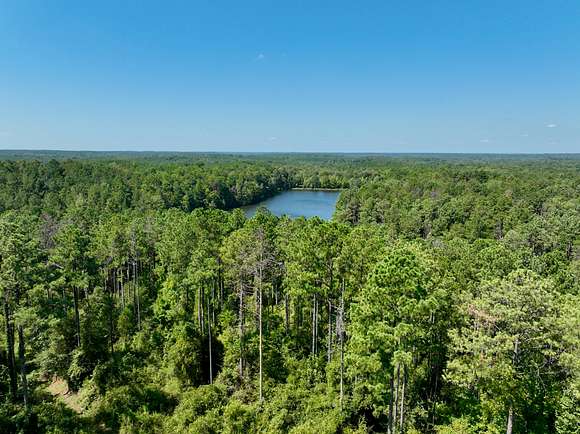 111 Acres of Recreational Land for Sale in Coffeeville, Alabama