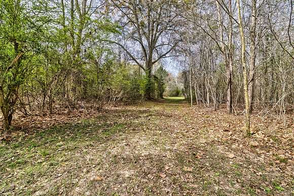 291.33 Acres of Recreational Land & Farm for Sale in Hilda, South Carolina