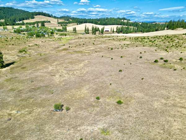 39.2 Acres of Land for Sale in Kamiah, Idaho