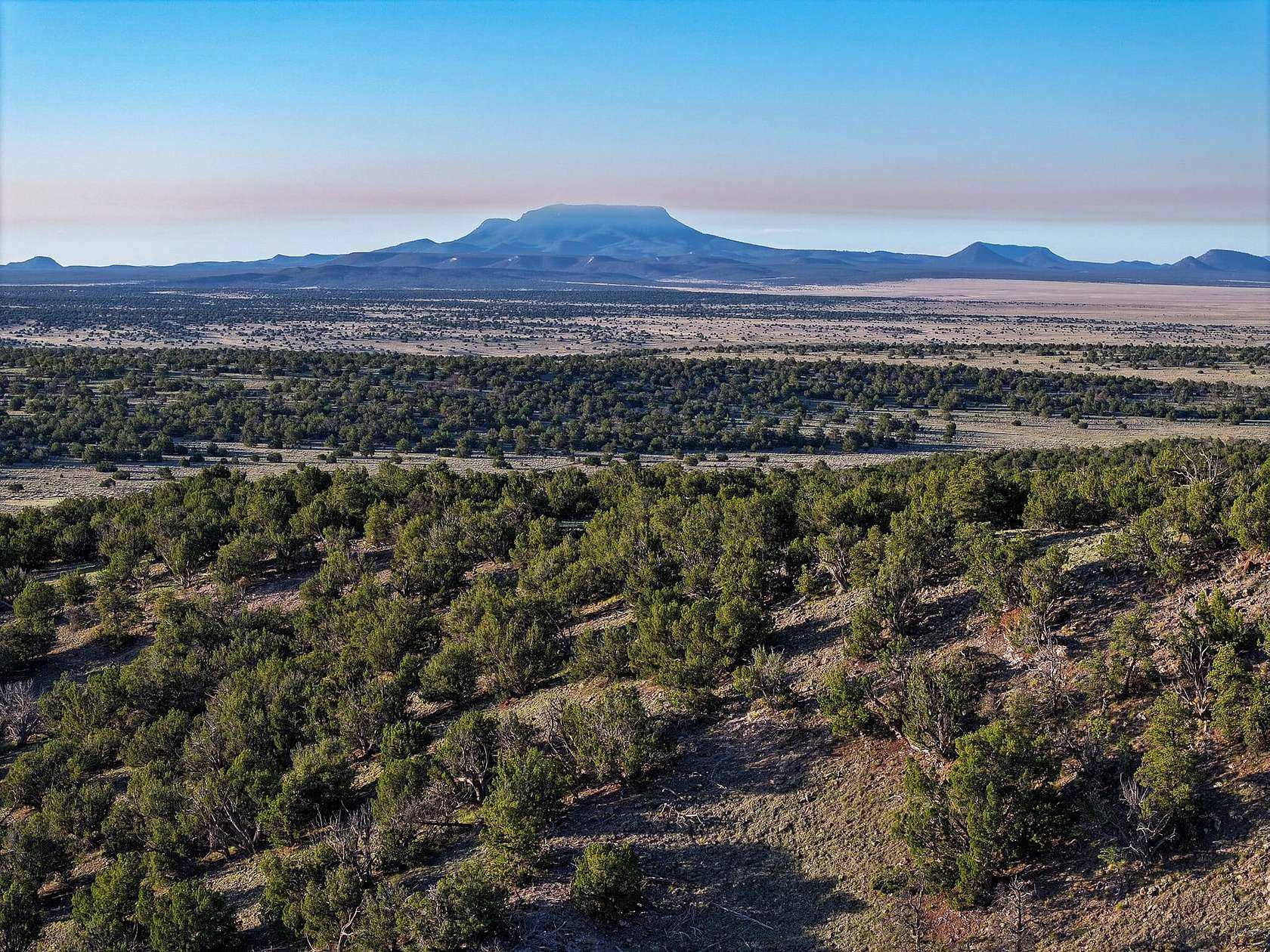 3,200 Acres of Land for Sale in Quemado, New Mexico