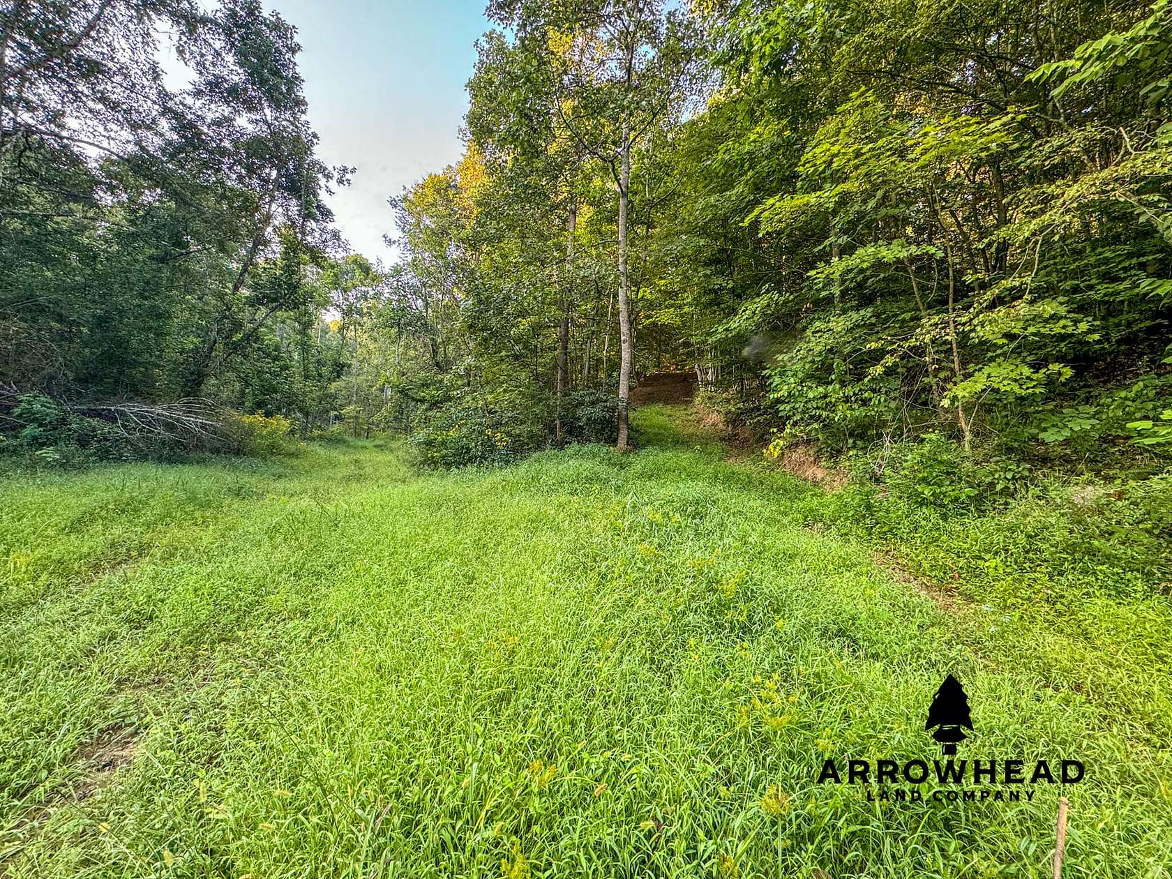 40 Acres of Recreational Land for Sale in Wheelersburg, Ohio