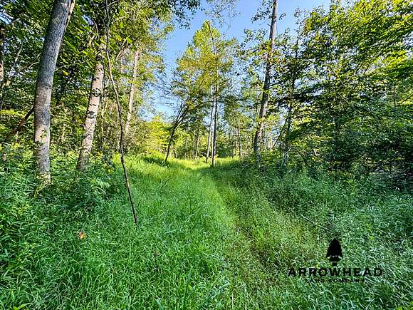 15 Acres of Recreational Land for Sale in Wheelersburg, Ohio