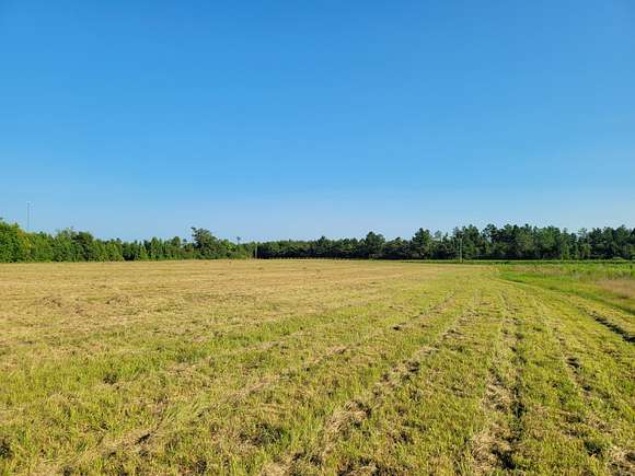 16 Acres of Mixed-Use Land for Sale in Williston, South Carolina