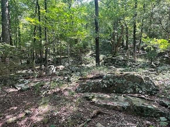 15.05 Acres of Recreational Land for Sale in Lincoln, Arkansas