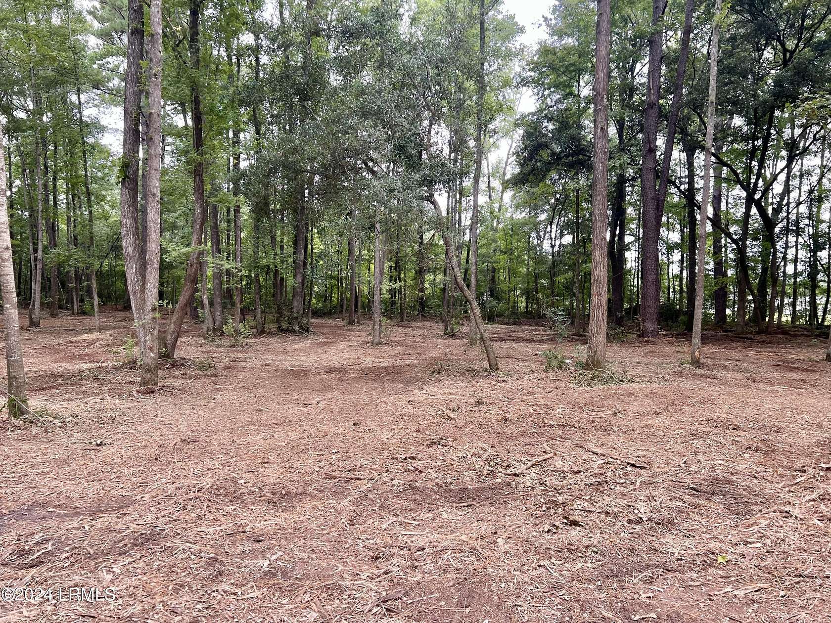 2 Acres of Residential Land for Sale in Yemassee, South Carolina