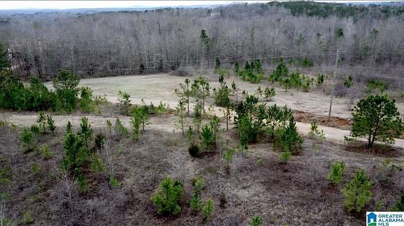 9.38 Acres of Residential Land for Sale in Ashland, Alabama