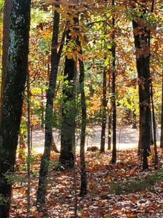 0.25 Acres of Residential Land for Sale in Fairfield Bay, Arkansas