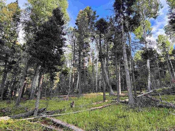 0.84 Acres of Residential Land for Sale in Angel Fire, New Mexico