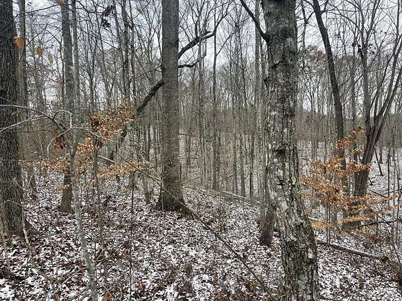 45.72 Acres of Land for Sale in Monticello, Kentucky