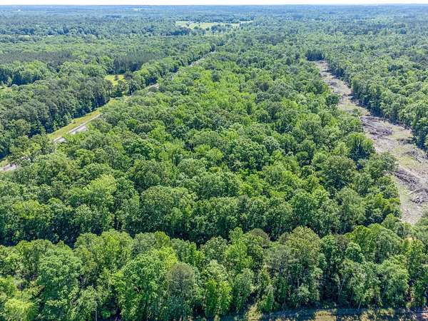 50.2 Acres of Recreational & Residential Land for Sale in Marshall, Texas