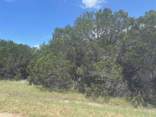 0.226 Acres of Land for Sale in Whitney, Texas