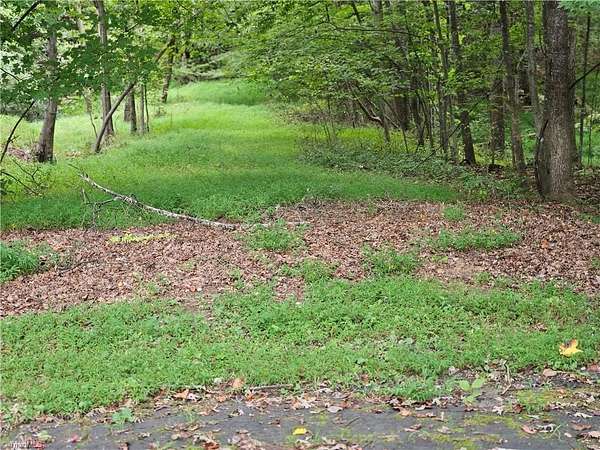 10.2 Acres of Mixed-Use Land for Sale in Pilot Mountain, North Carolina