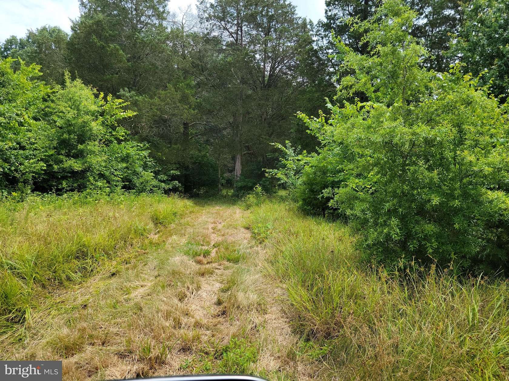 11.2 Acres of Land for Sale in Midland, Virginia