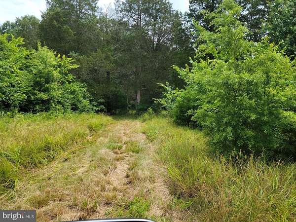 11.2 Acres of Land for Sale in Midland, Virginia