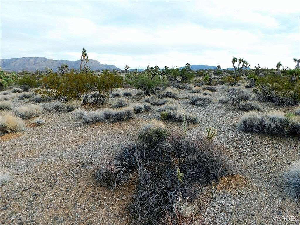 2.53 Acres of Residential Land for Sale in Meadview, Arizona