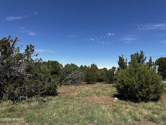 0.23 Acres of Residential Land for Sale in Show Low, Arizona