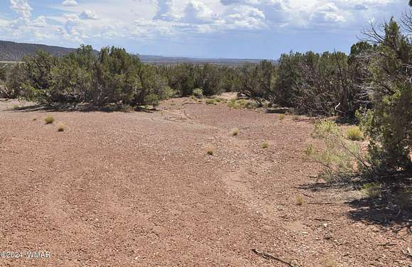 38.85 Acres of Land for Sale in Snowflake, Arizona