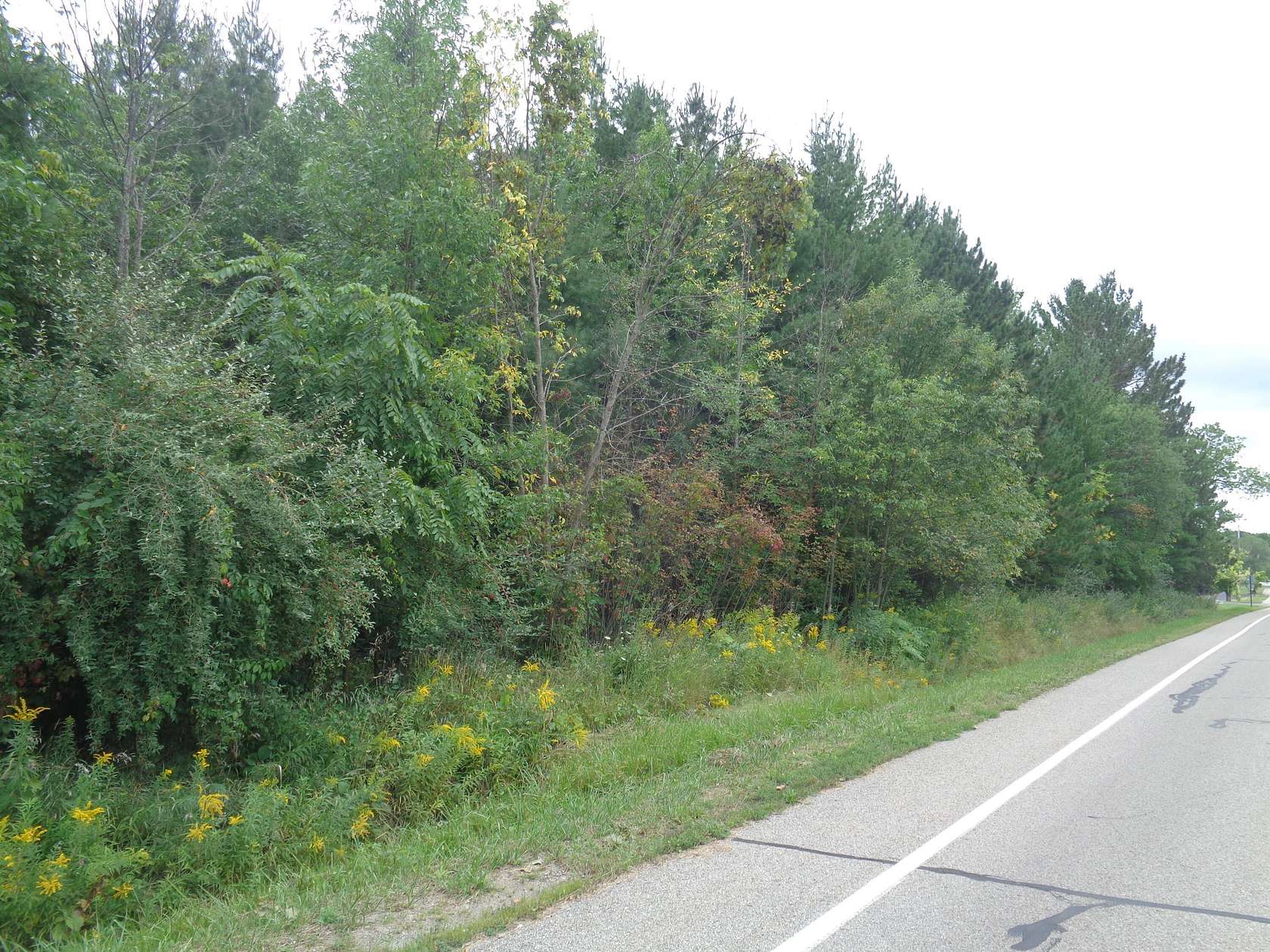 7.27 Acres of Commercial Land for Sale in Houghton Lake, Michigan