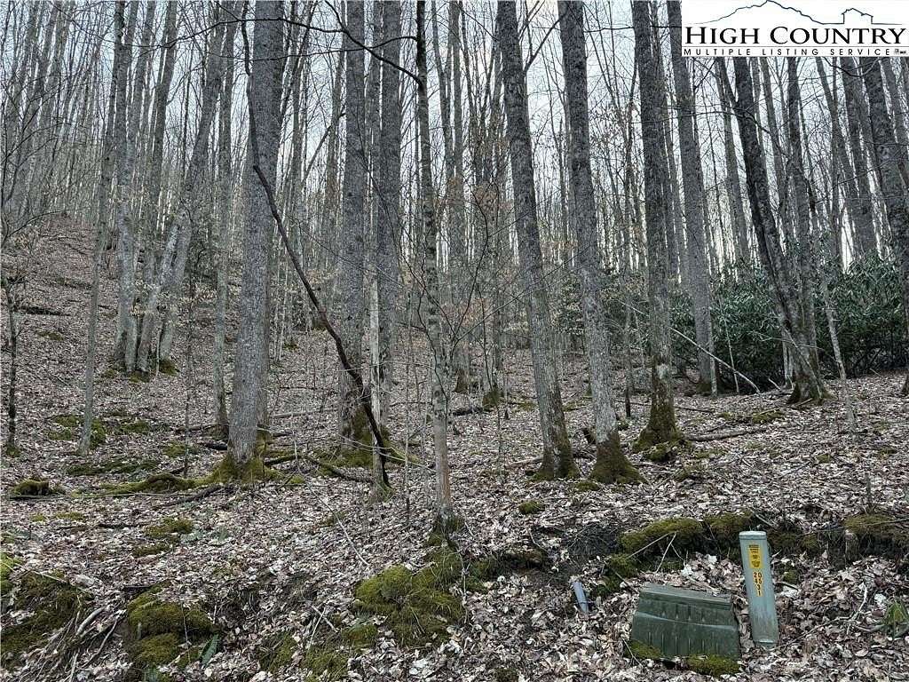 1 Acre of Residential Land for Sale in Beech Mountain, North Carolina