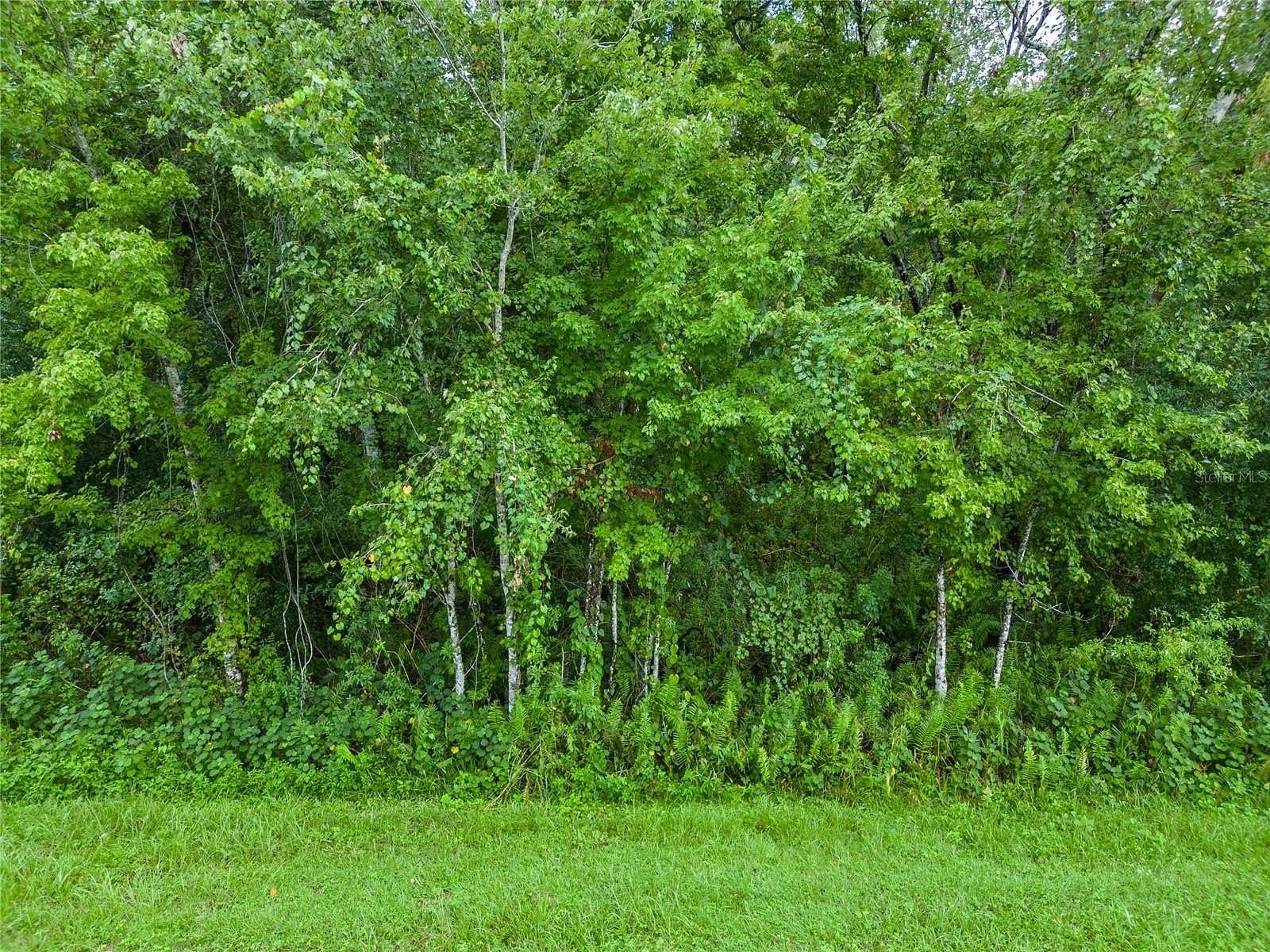 4.96 Acres of Residential Land for Sale in St. Cloud, Florida