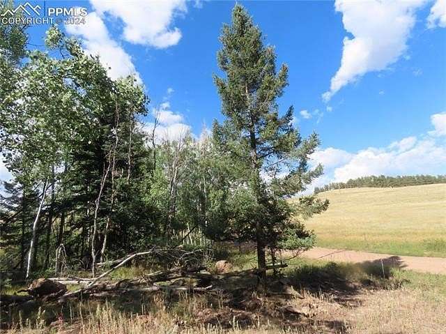 3.55 Acres of Land for Sale in Florissant, Colorado