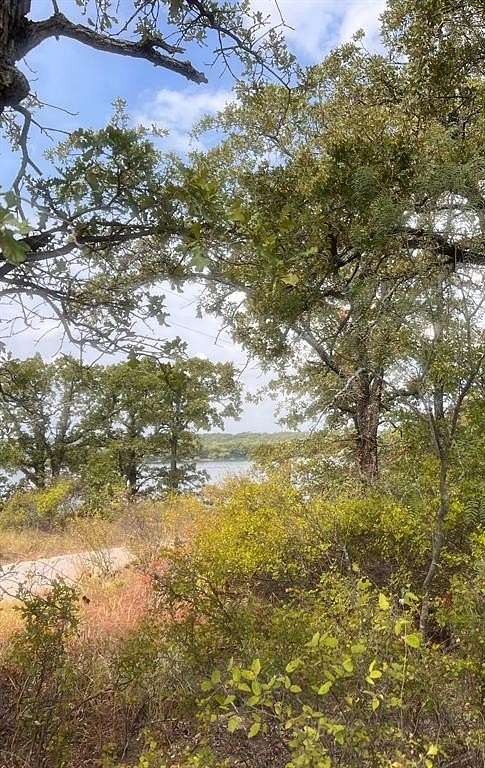 0.366 Acres of Land for Sale in Bowie, Texas