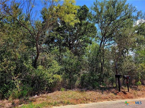14 Acres of Land for Sale in Dale, Texas