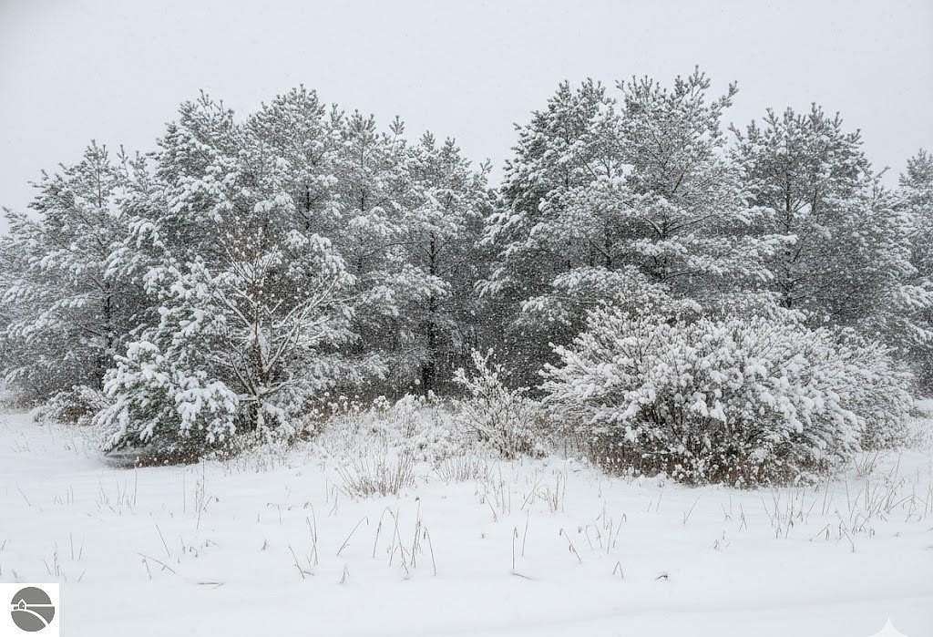 0.6 Acres of Land for Sale in Fife Lake, Michigan