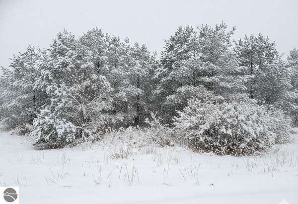 0.6 Acres of Land for Sale in Fife Lake, Michigan