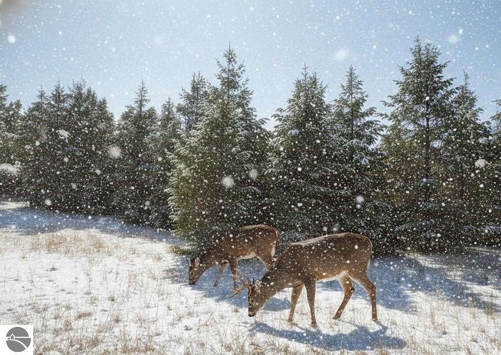 0.69 Acres of Land for Sale in Fife Lake, Michigan