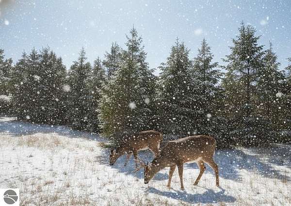 0.69 Acres of Land for Sale in Fife Lake, Michigan