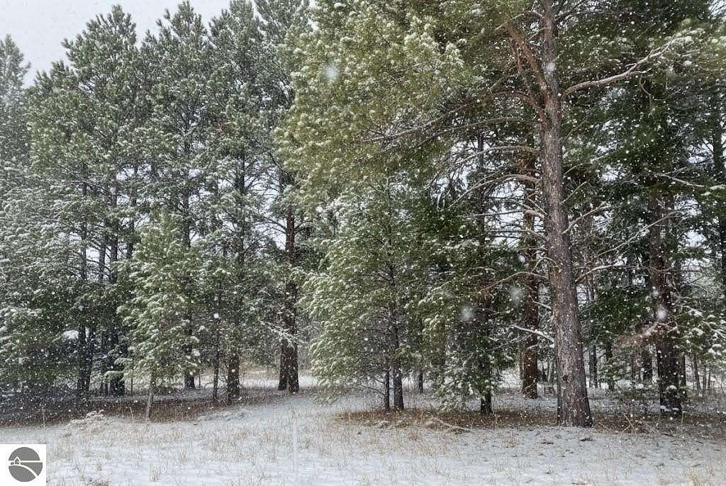 0.7 Acres of Land for Sale in Fife Lake, Michigan